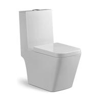 YS22259 Et stykke keramisk toilet, P-fælde, afvaskning;