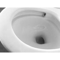 YS24271 Et stykke keramisk toilet, sifonisk;